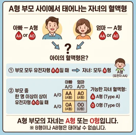 a형과-a형에서-나오는-혈액형